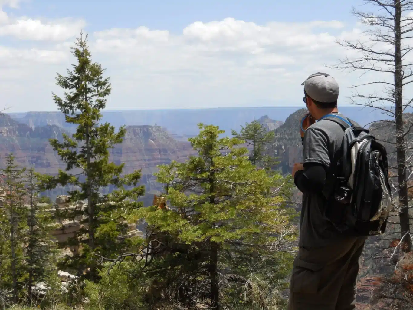 Grand Canyon North Rim