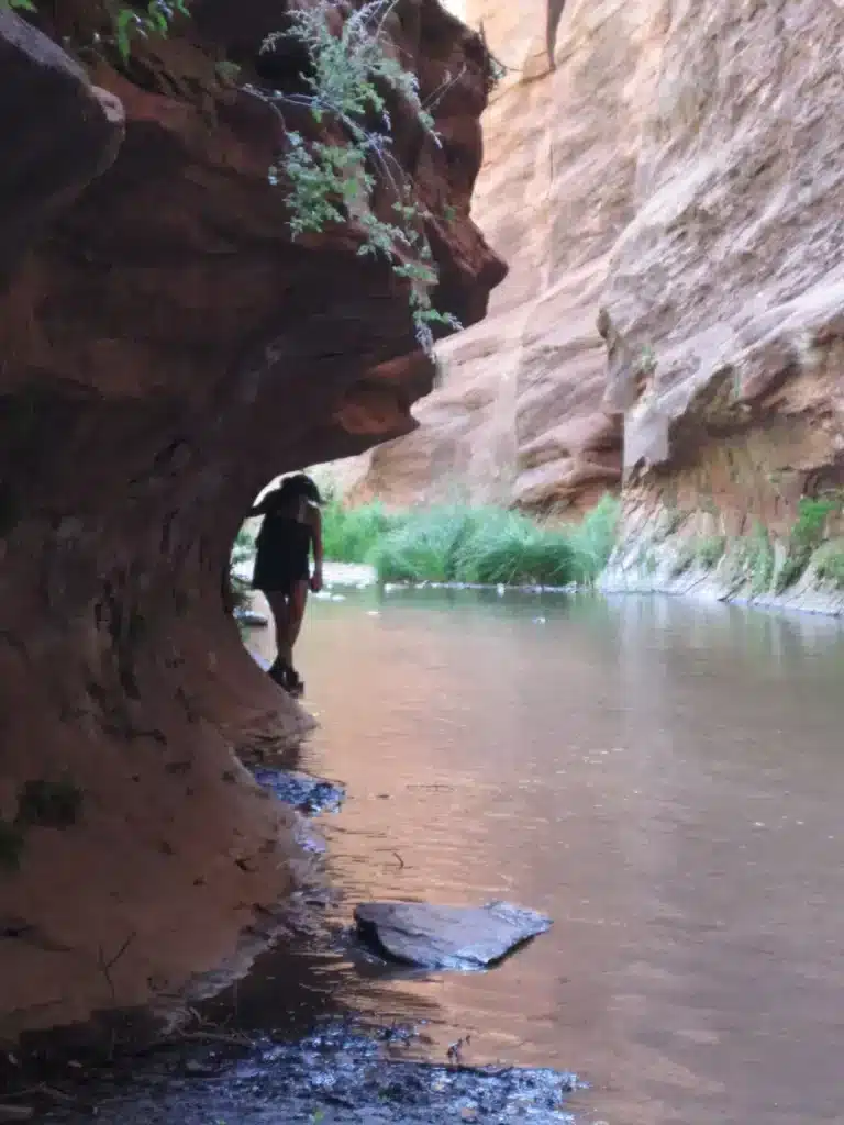 west fork hike