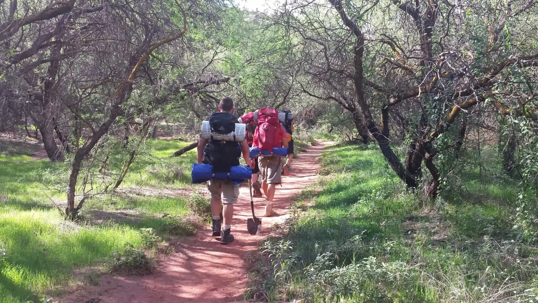 men in forest