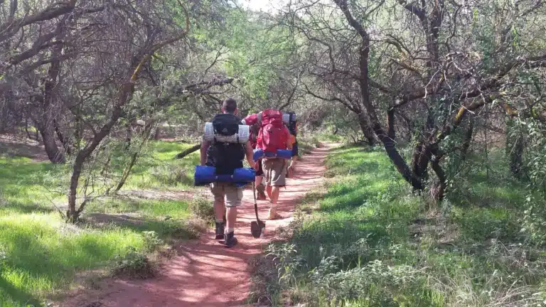 men in forest