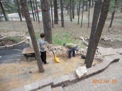 Back2Basics Gardening g