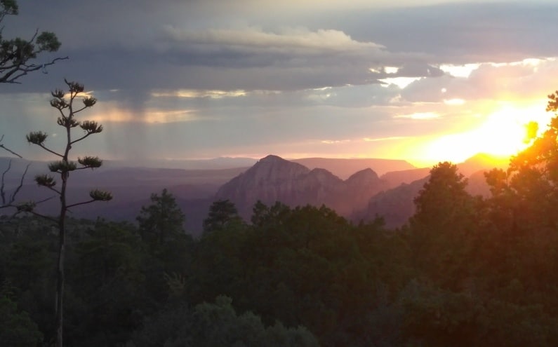 B2B Article FL 08 30 17 04