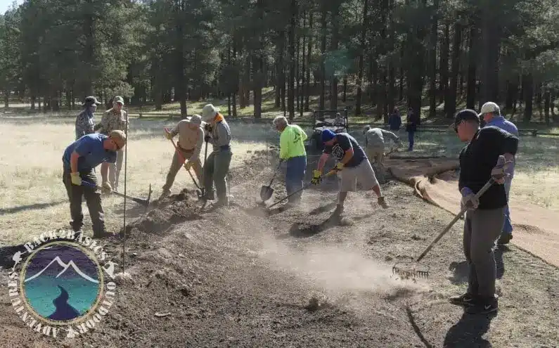 Long Valley Meadow Project 10