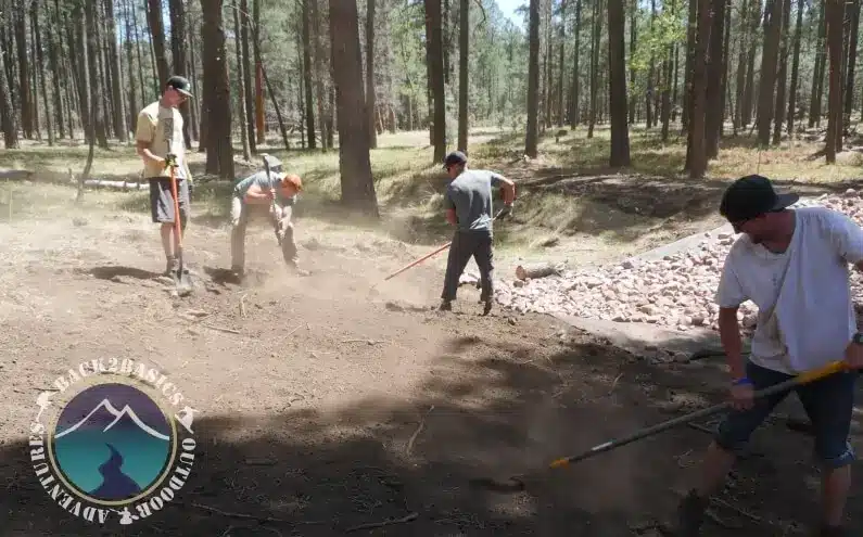 Long Valley Meadow Project 4