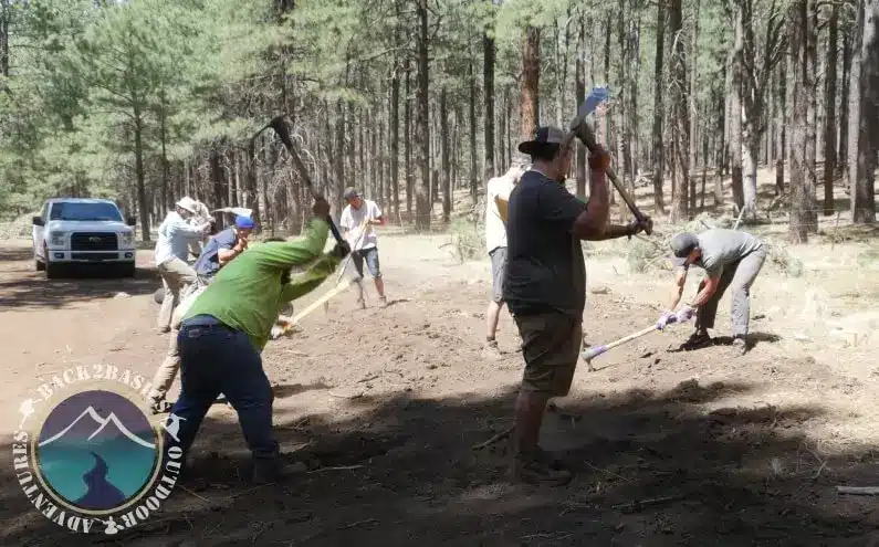 Long Valley Meadow Project 6