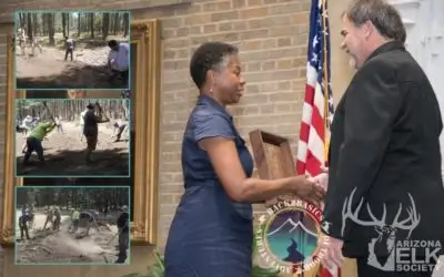 Long Valley Meadow Project media