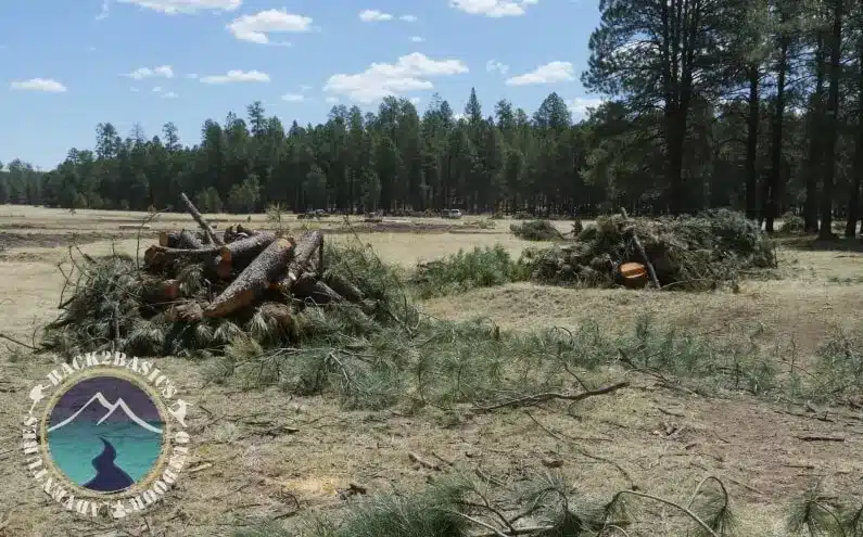 Long Valley Meadow Projects media