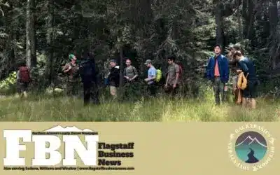 Treating Brain media