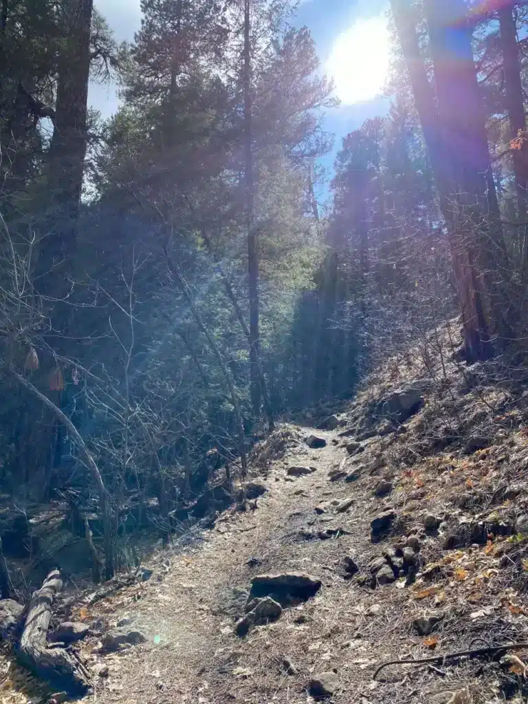 program experience media