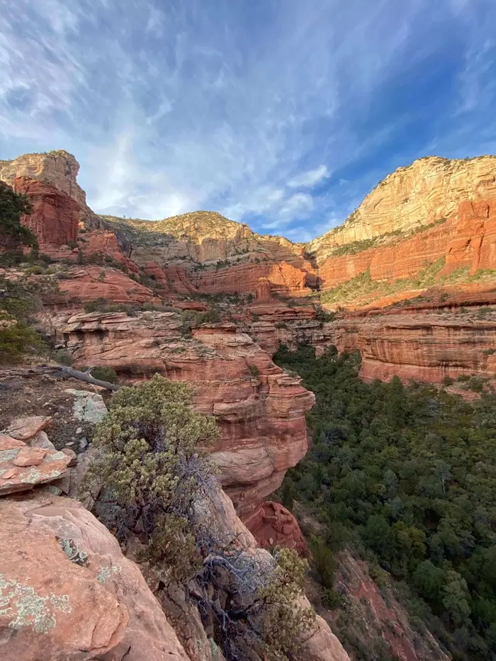 I Was Able to Gain media