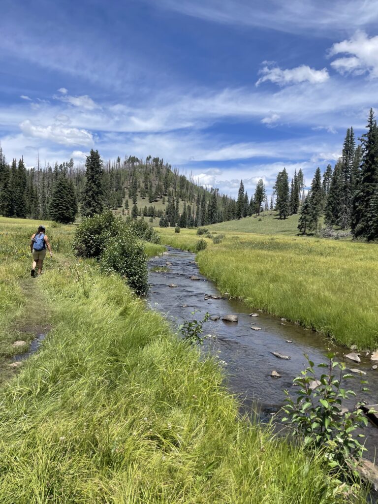 Adult Wilderness Therapy Programs at Back2Basics Recovery