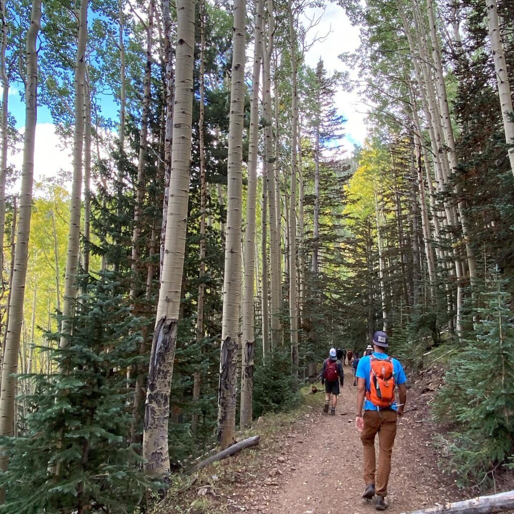 Wilderness Therapy vs. Residential Treatment_ Which Is Best for Your Loved One