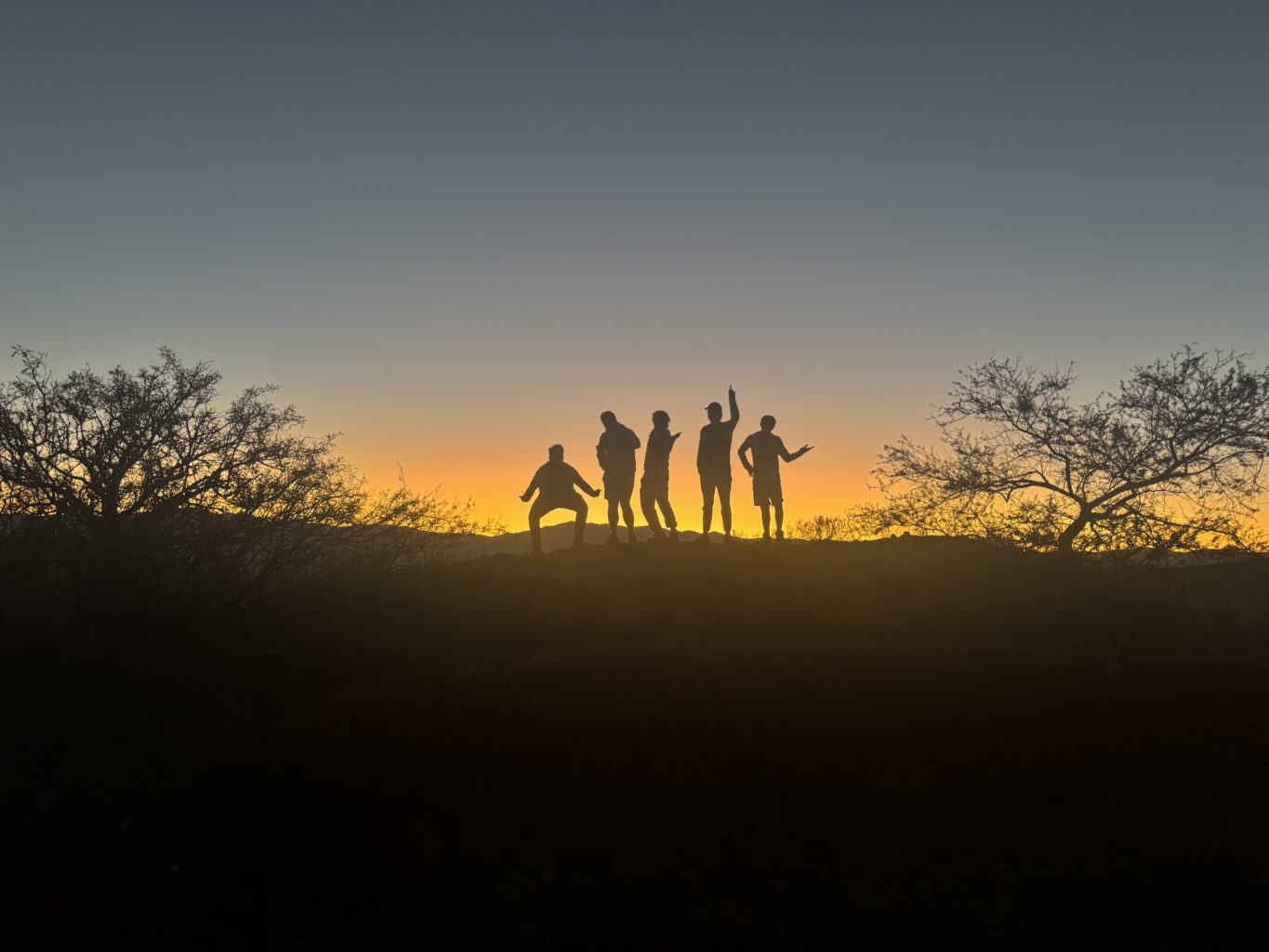 Five men posing in the sunset while on a hill.